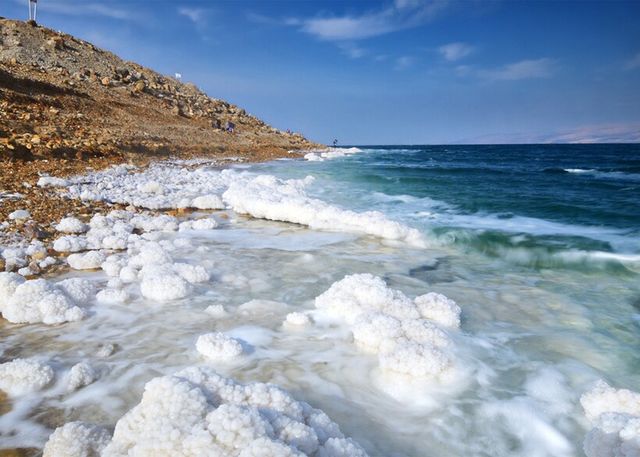 Якими були океани 500 мільйонів років тому- фото 488764