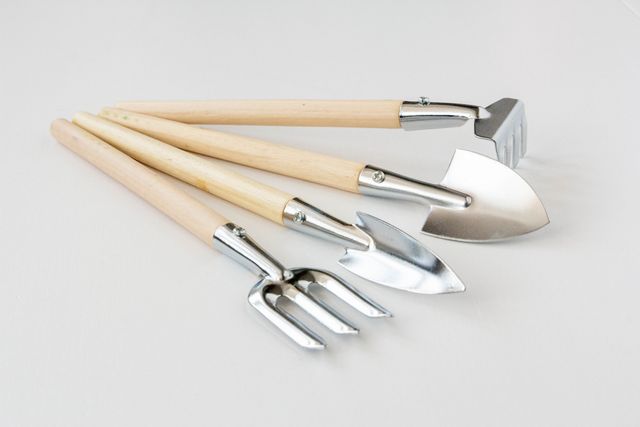 Місячний посівний календар на січень 2022: коли і що садити - фото 489280