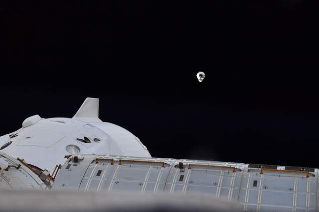 Космічний корабель Cargo Dragon успішно пристикувався до МКС: фотофакт - фото 489348