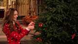 Кейт Міддлтон показала оригінальний спосіб прикрашання різдвяної ялинки