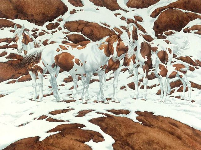 У мережі не можуть порахувати, скільки коней на зображенні: нова оптична ілюзія - фото 489815