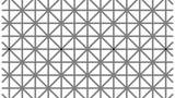 Оптична ілюзія з 12 крапочками збила з пантелику юзерів з усього світу