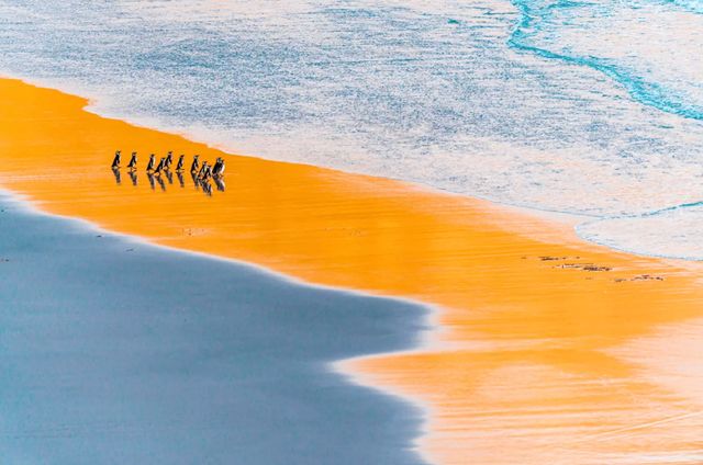 Оголошено переможців конкурсу Nature photographer of the year 2021 - фото 490134