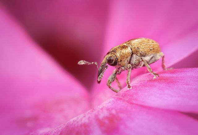 Оголошено переможців конкурсу Nature photographer of the year 2021 - фото 490137