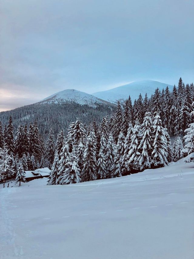 Карпати замело снігом під два метри: дивовижні фото - фото 490429