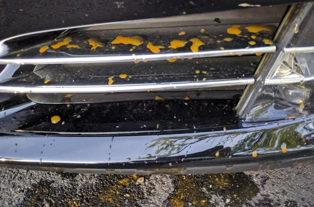 У Tesla виявили нову проблему: в електромобілів 'ржавіє' пластик - фото 490452