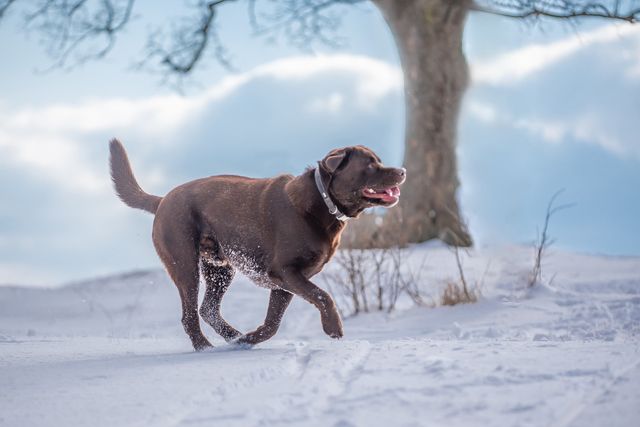 Погода у лютому 2022 в Україні: прогноз синоптиків на місяць - фото 490639