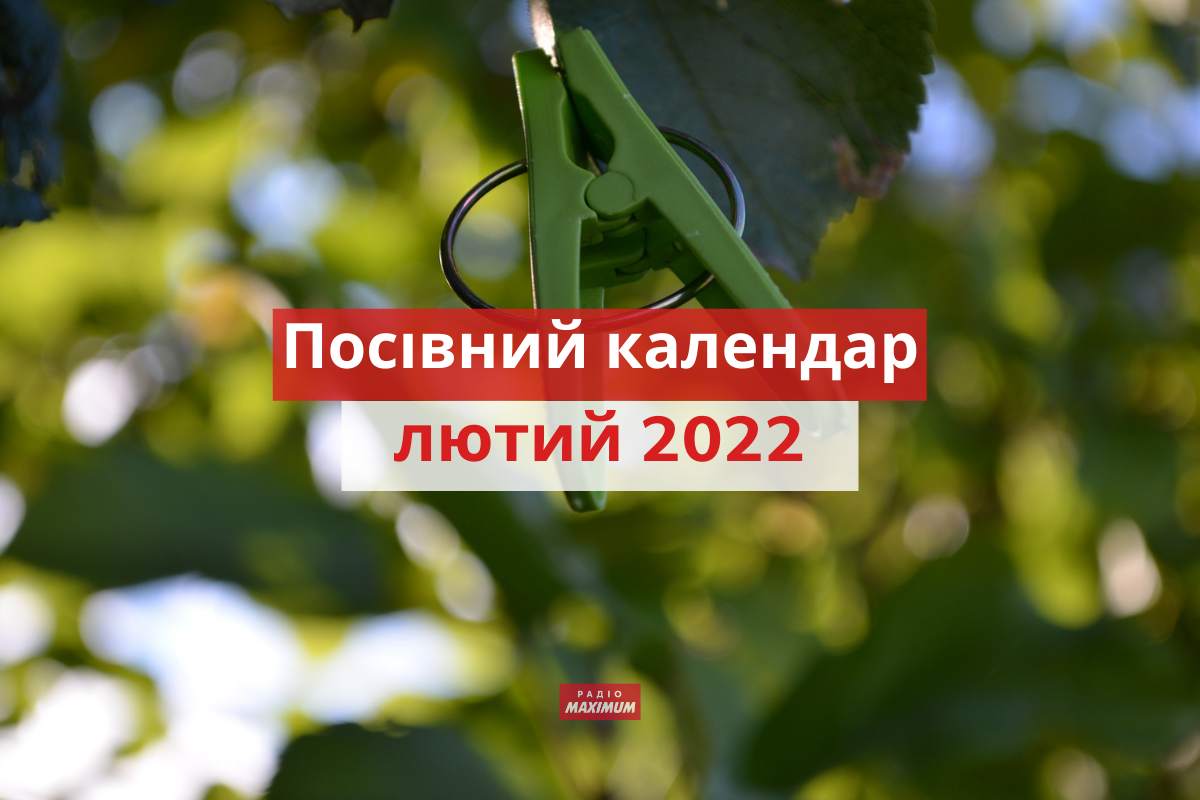 Посівний календар для городника на лютий - фото 1