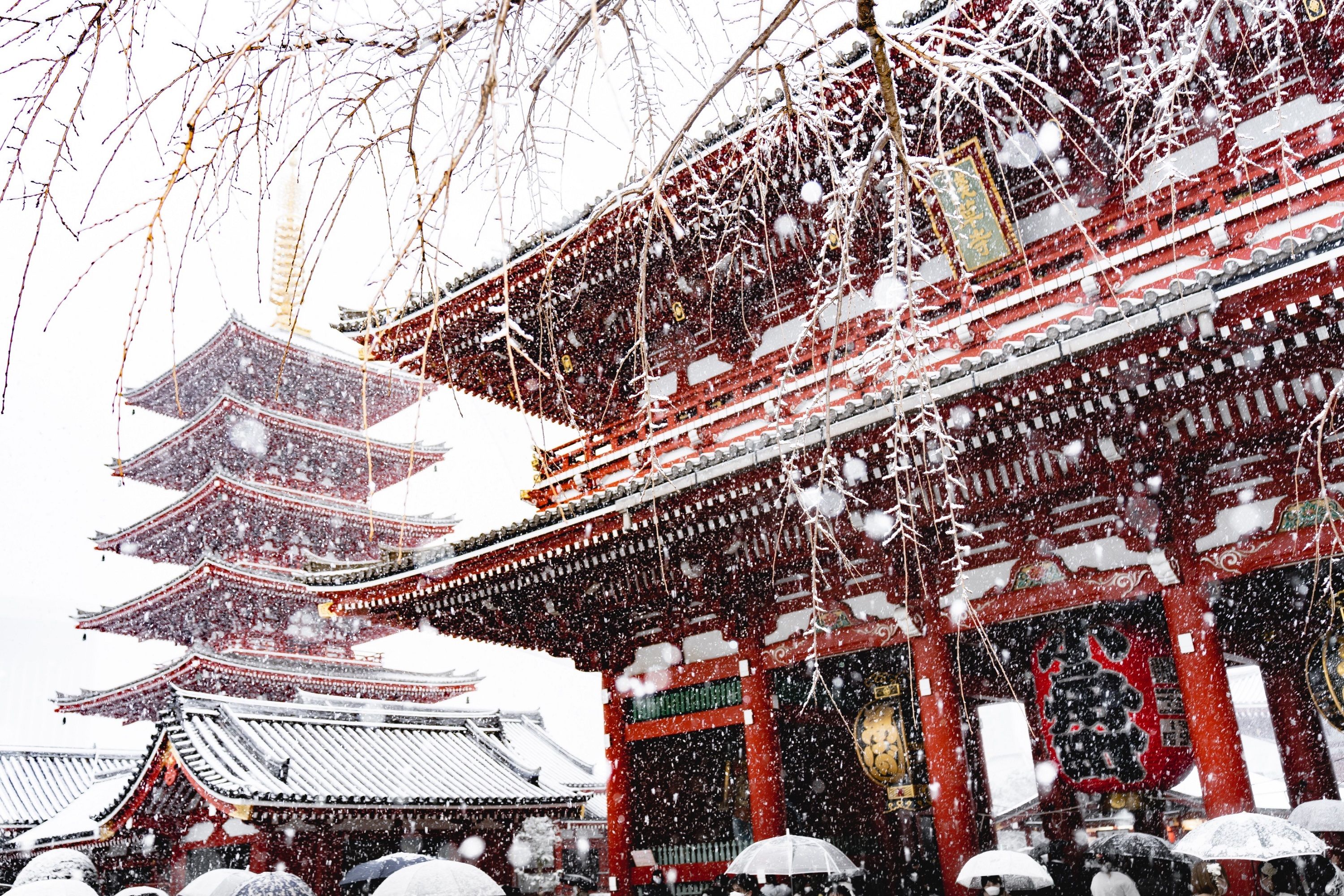 У Токіо вперше за 4 роки серйозно засніжило - фото 1