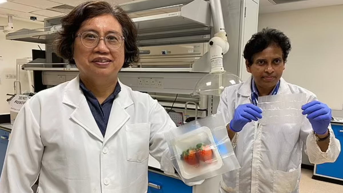 Науковці створили "розумний" пакет, який дозволяє довше зберігати продукти свіжими - фото 1