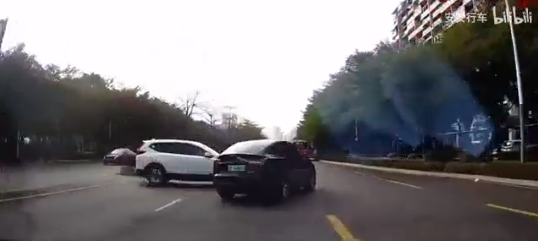 Лосиний тест у реальних умовах: дивіться, як Tesla  уникла зіткнення з Honda CR-V