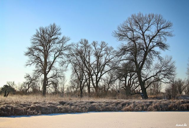 Фотограф показав крижане озеро на Чернігівщині з висоти пташиного польоту: видовищні кадри - фото 491690
