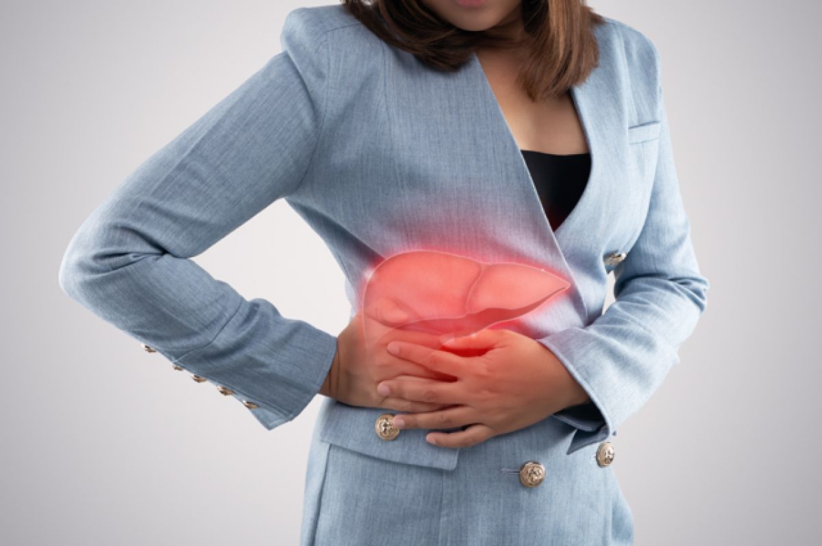 Печінка - фото 1