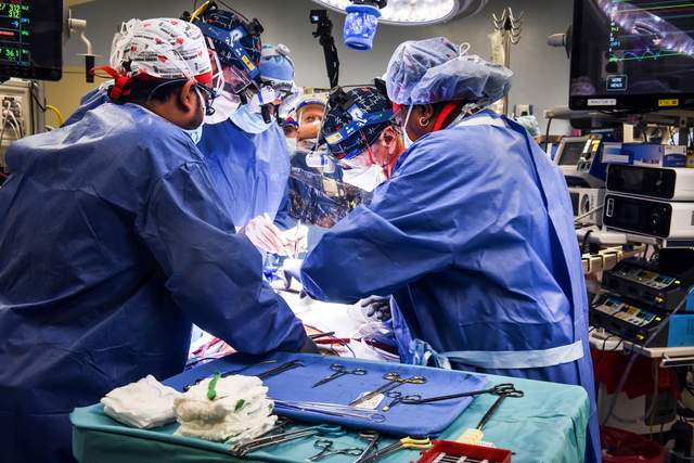 Унікальна операція: людині вперше успішно пересадили серце свині - фото 491937