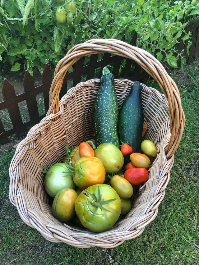 Місячний посівний календар на лютий 2022: коли і що садити - фото 492039