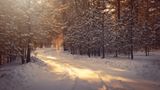Погода на Водохреще 2022: прогноз на 18-19 січня в Україні