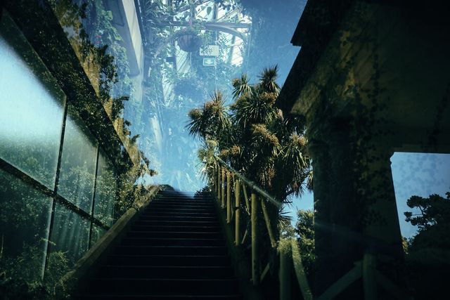 Фотограф показав унікальність Нової Зеландії у неймовірних кадрах - фото 492511