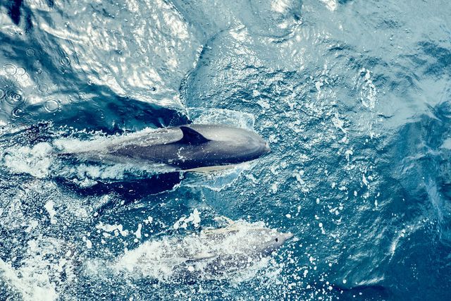 Фотограф показав унікальність Нової Зеландії у неймовірних кадрах - фото 492512