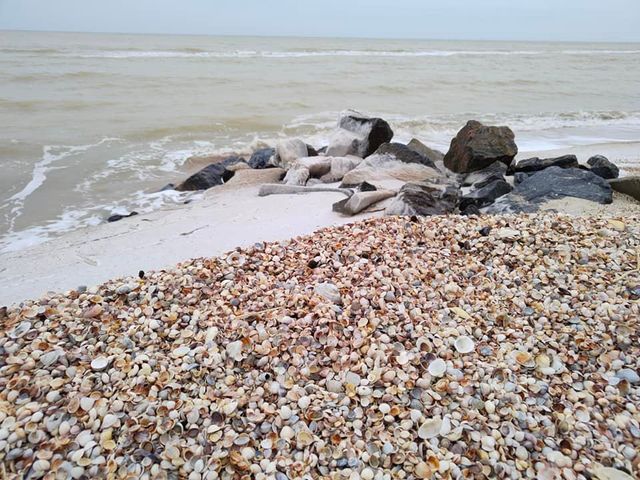 У мережі показали вражаючі фото обмерзлого берега Кирилівки - фото 492586