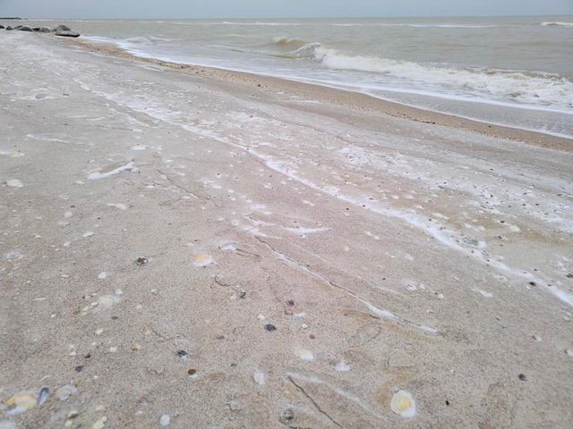 У мережі показали вражаючі фото обмерзлого берега Кирилівки - фото 492593