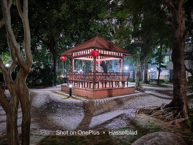 OnePlus 10 Pro: у мережі показали приклади фото, зроблених на смартфон - фото 492728