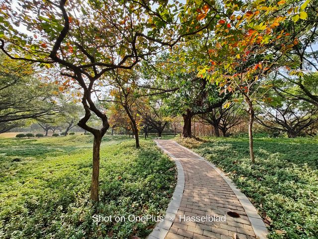 OnePlus 10 Pro: у мережі показали приклади фото, зроблених на смартфон - фото 492731