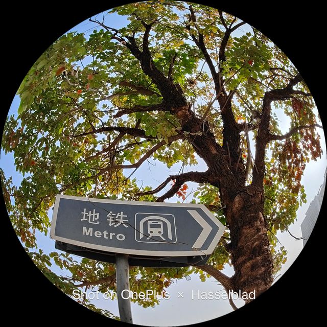 OnePlus 10 Pro: у мережі показали приклади фото, зроблених на смартфон - фото 492732