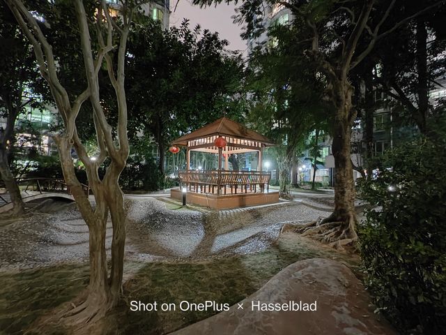 OnePlus 10 Pro: у мережі показали приклади фото, зроблених на смартфон - фото 492733