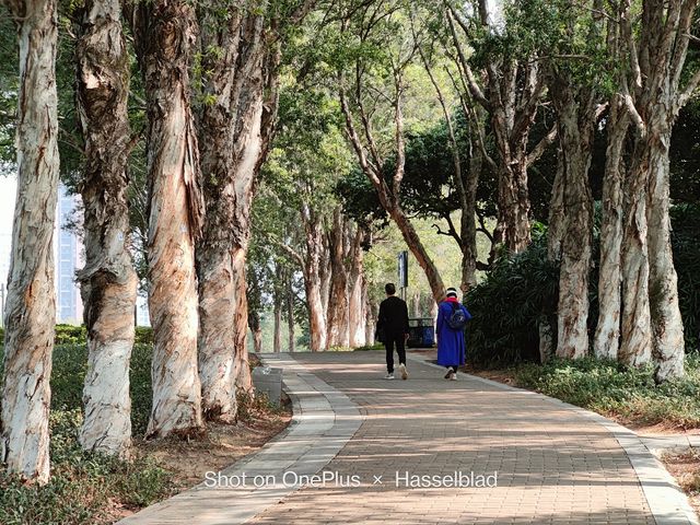 OnePlus 10 Pro: у мережі показали приклади фото, зроблених на смартфон - фото 492737