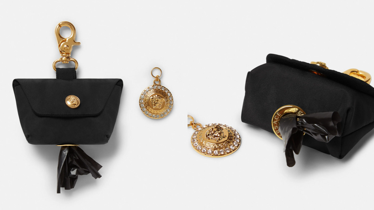 У Versace представили мішки для собачих фекалій: ціна вас шокує - фото 1