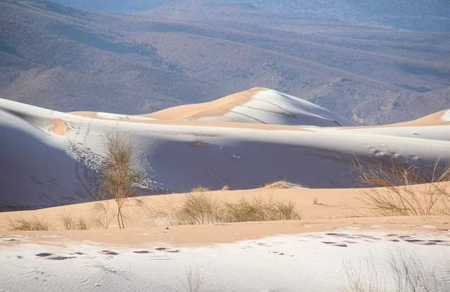 Піски пустелі Сахари покрив сніг: кадри незвичайних видів - фото 492946