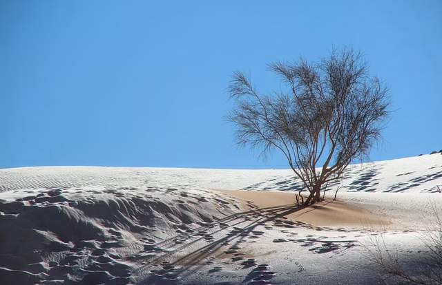 Піски пустелі Сахари покрив сніг: кадри незвичайних видів - фото 492947