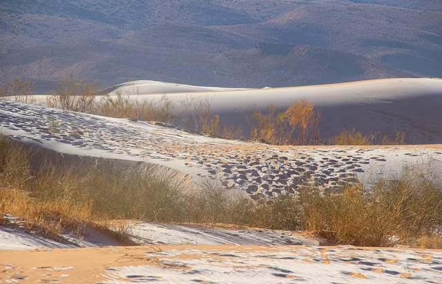 Піски пустелі Сахари покрив сніг: кадри незвичайних видів - фото 492949