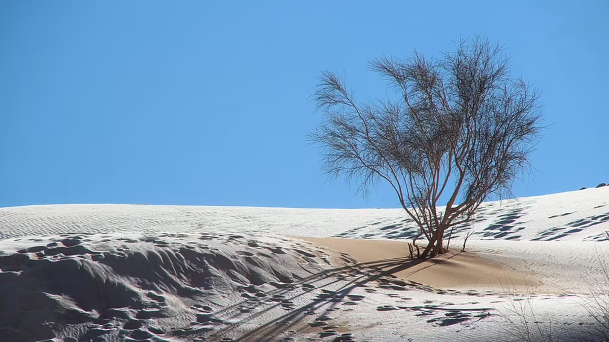 Сніг у Сахарі - фото 1