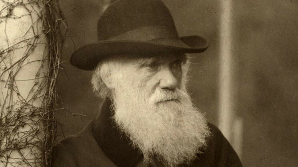 Дарвін - фото 1