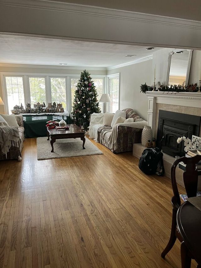 Знайдіть котів: добірка фото, на які доведеться поглянути двічі - фото 492971