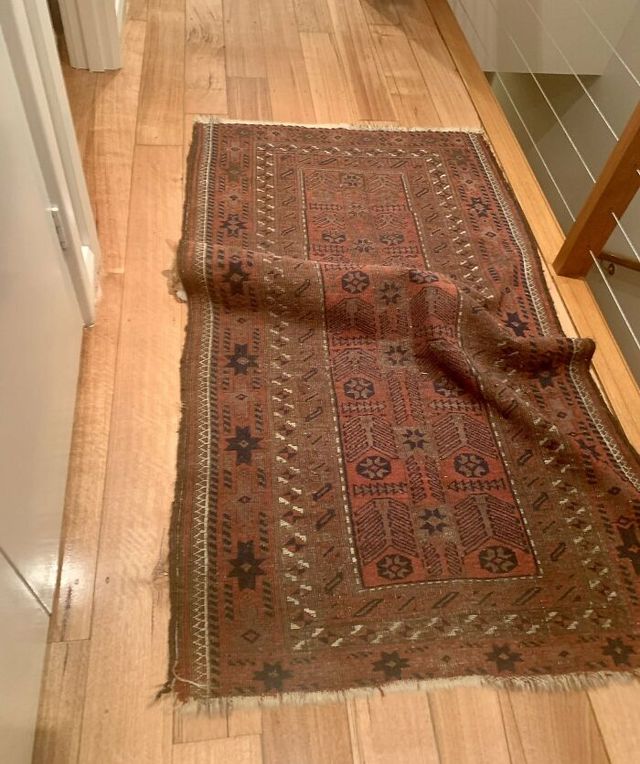 Знайдіть котів: добірка фото, на які доведеться поглянути двічі - фото 492972