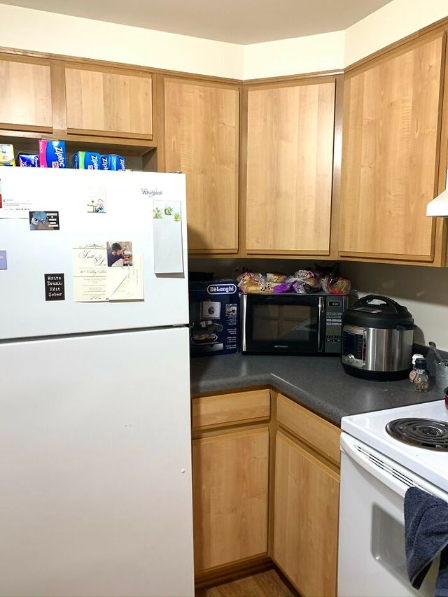 Знайдіть котів: добірка фото, на які доведеться поглянути двічі - фото 492973