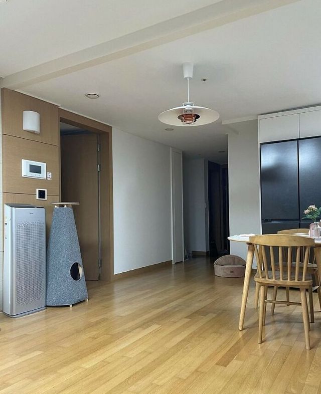 Знайдіть котів: добірка фото, на які доведеться поглянути двічі - фото 492975