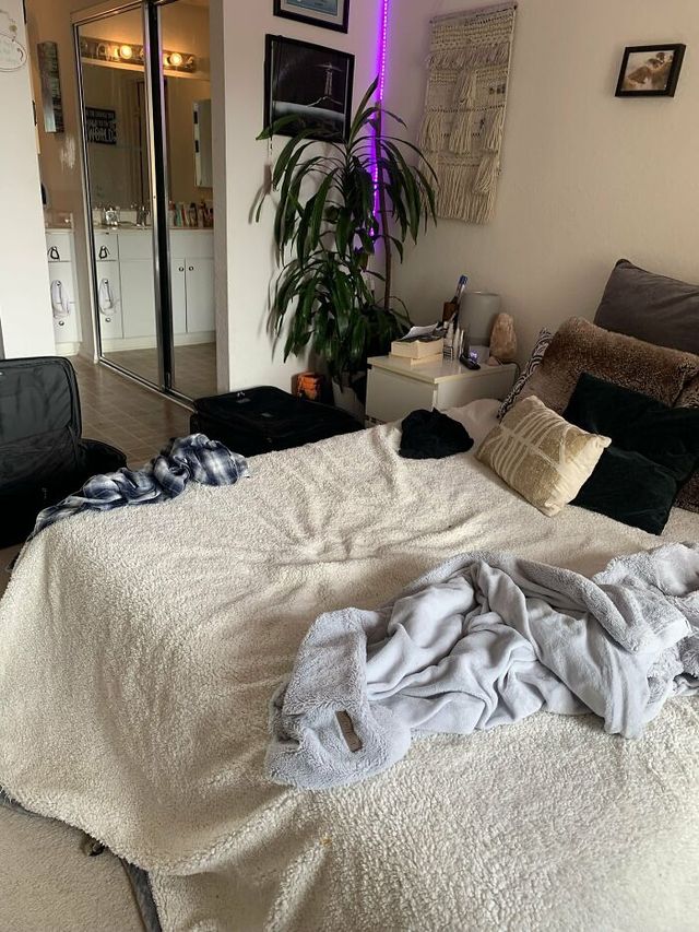 Знайдіть котів: добірка фото, на які доведеться поглянути двічі - фото 492977