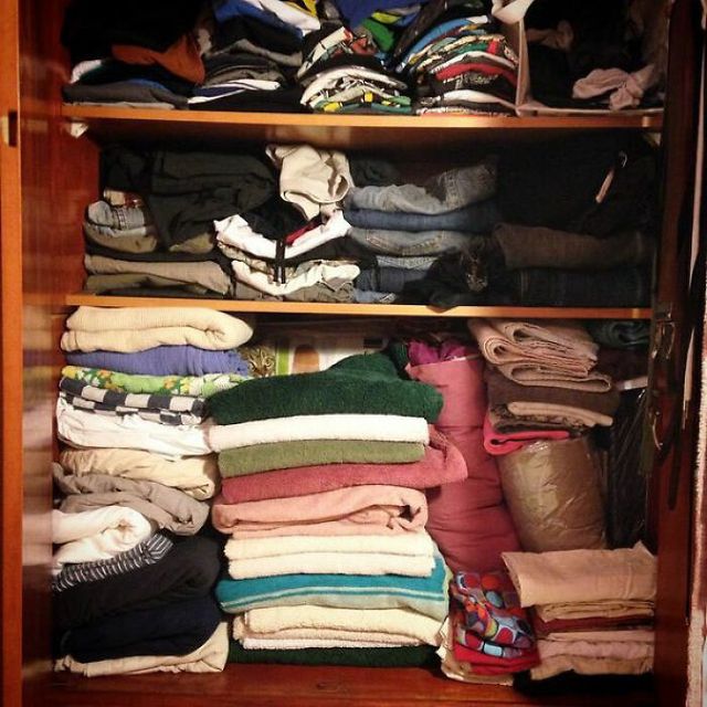 Знайдіть котів: добірка фото, на які доведеться поглянути двічі - фото 492978