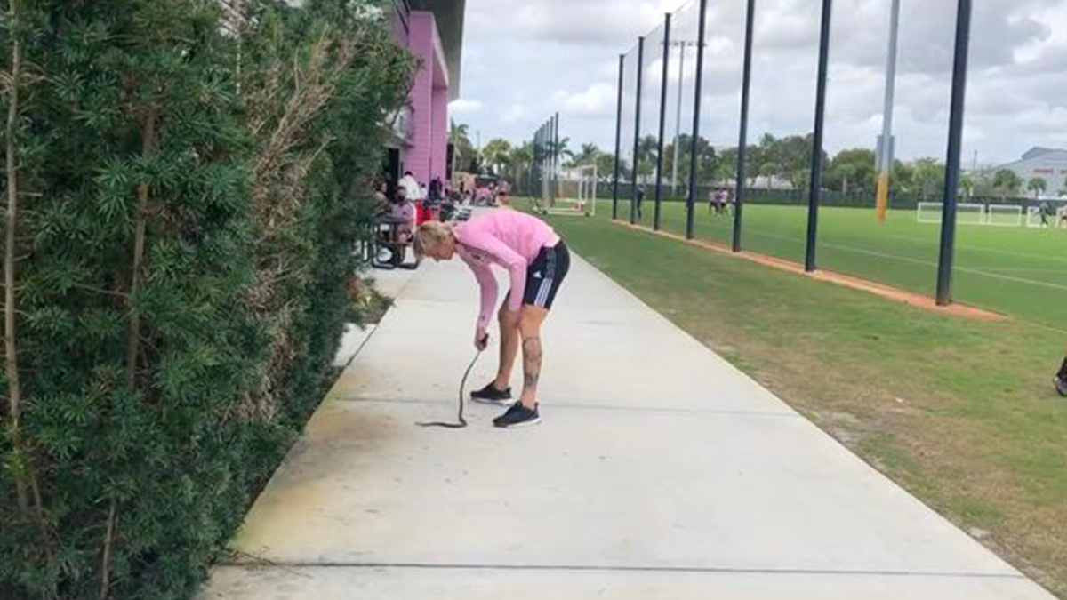 Американський футболіст голими руками впіймав змію: епічне відео