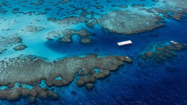 Бренд adidas створив плавучий тенісний корт на Великому Бар'єрному рифі - фото 493773