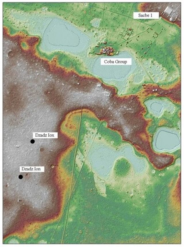 Дослідники виявили знамениті гаї з грошовими деревами племені майя - фото 495138