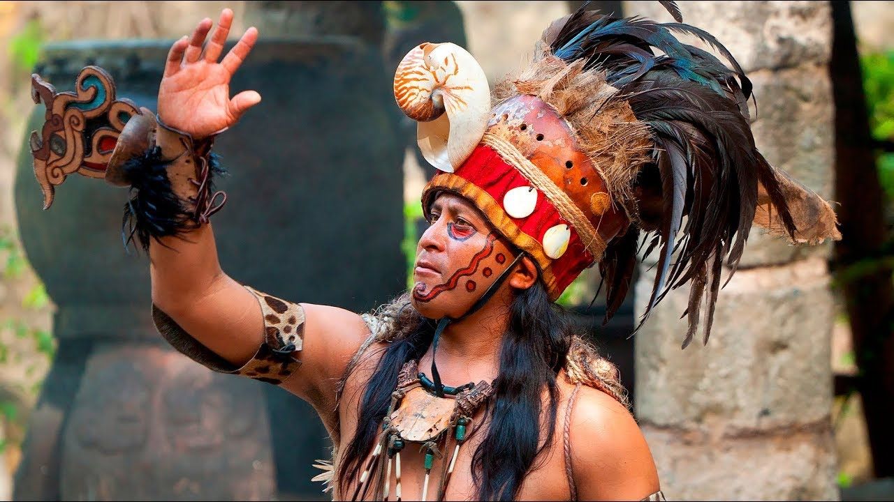 Дослідники виявили знамениті гаї з грошовими деревами племені майя