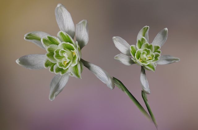 8 лютого 2023 – яке сьогодні свято: традиції, заборони і прикмети - фото 495189