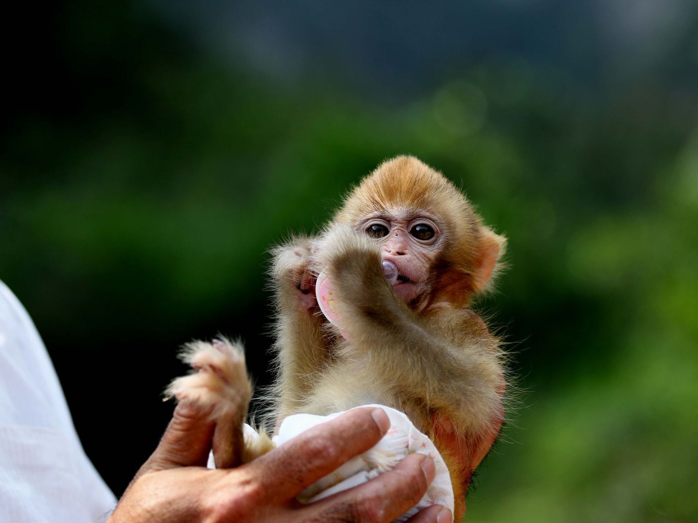 Що саме впливає на нашу любов до природи