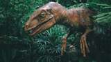 Напад динозаврів – не гарантійний випадок: в інструкції Starlink виявили цікавий пункт