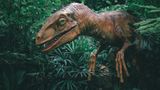 Напад динозаврів – не гарантійний випадок: в інструкції Starlink виявили цікавий пункт