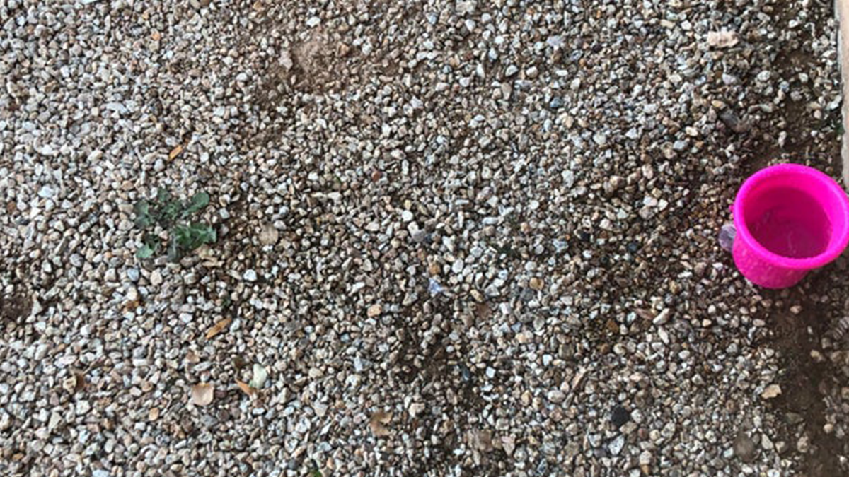 Користувач Reddit попросив допомогти йому знайти крихітний гвинтик, що впав на каміння - фото 1